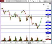 Ninza Horizontal Label